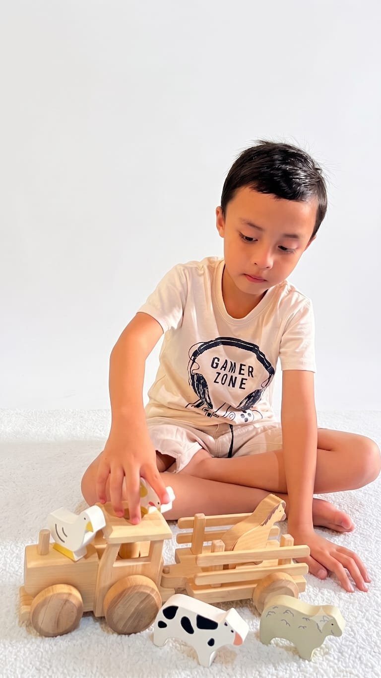 Premium Wooden Toys Indonesia crafted for global markets