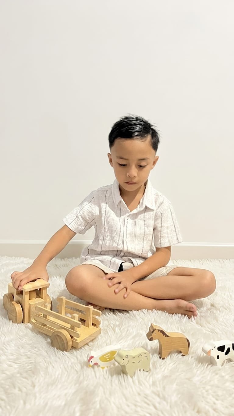 Handcrafted Wooden Toys Indonesia with natural finish